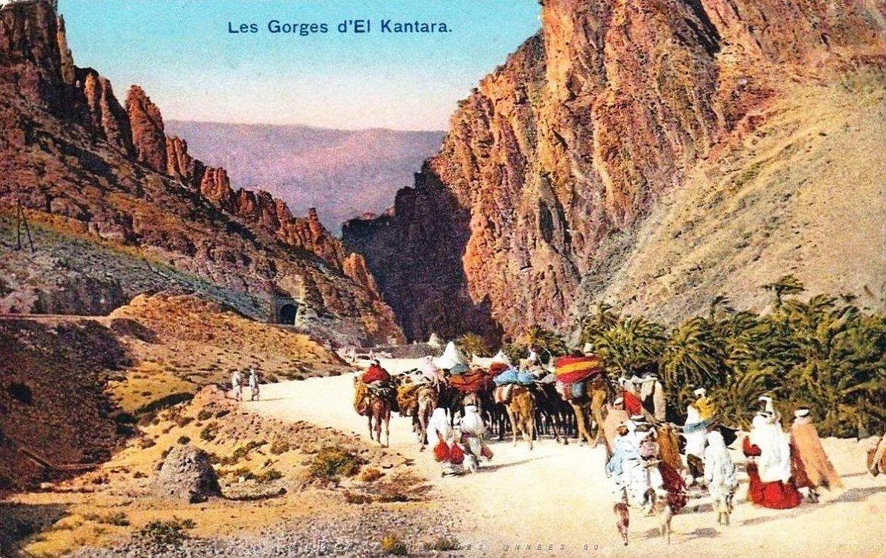 165- Gorges d'El-kantara.jpg